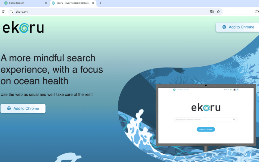 Ekoru Review